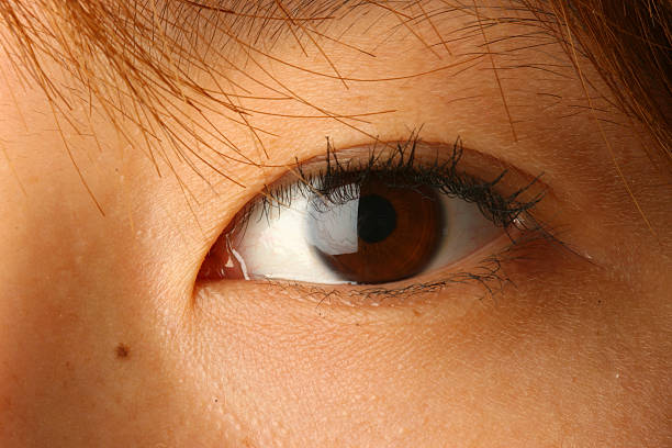 asian eye