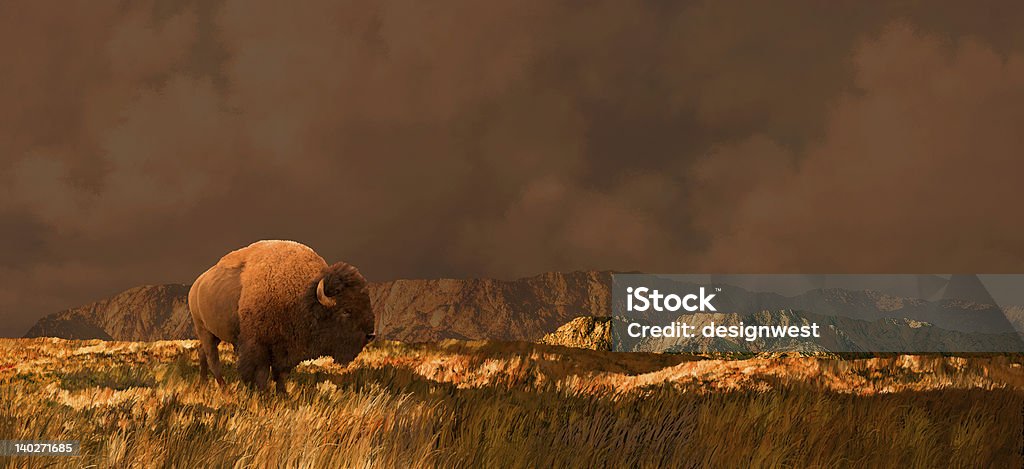 Buffalo in Wyoming - Lizenzfrei Amerikanischer Bison Stock-Foto