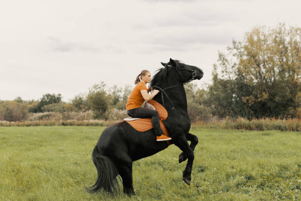 istock Rearing horse with rider upon back in meadow. 1402716892