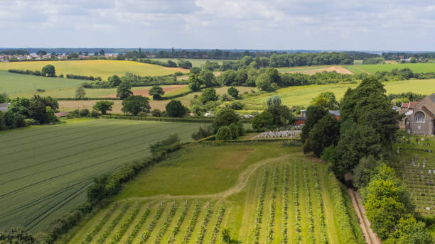 Agricultural fields in Suffolk England stock photo