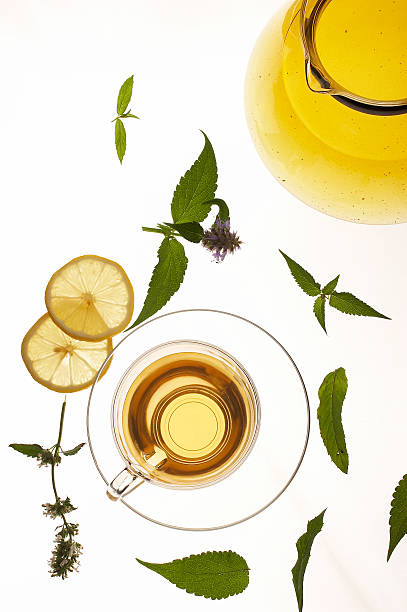 herbal tea stock photo