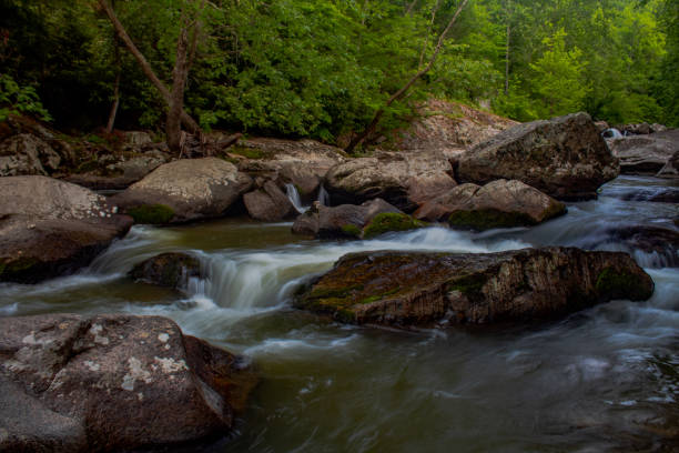 istock Cascading water on the mountain creek 1402719254