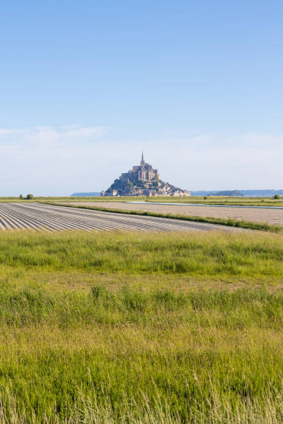 istock View on the Mont Saint-Michel above a pasture 1402720505