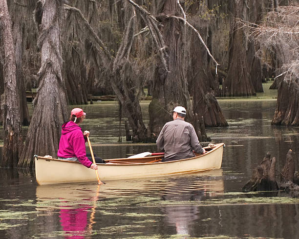 Canoers on Caddo Lake stock photo