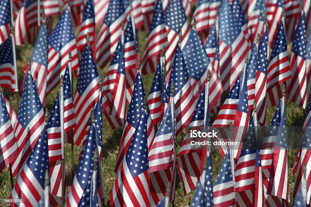 Amerykańskie flagi (pole marzeń - Zbiór zdjęć royalty-free (Budowla mieszkaniowa)