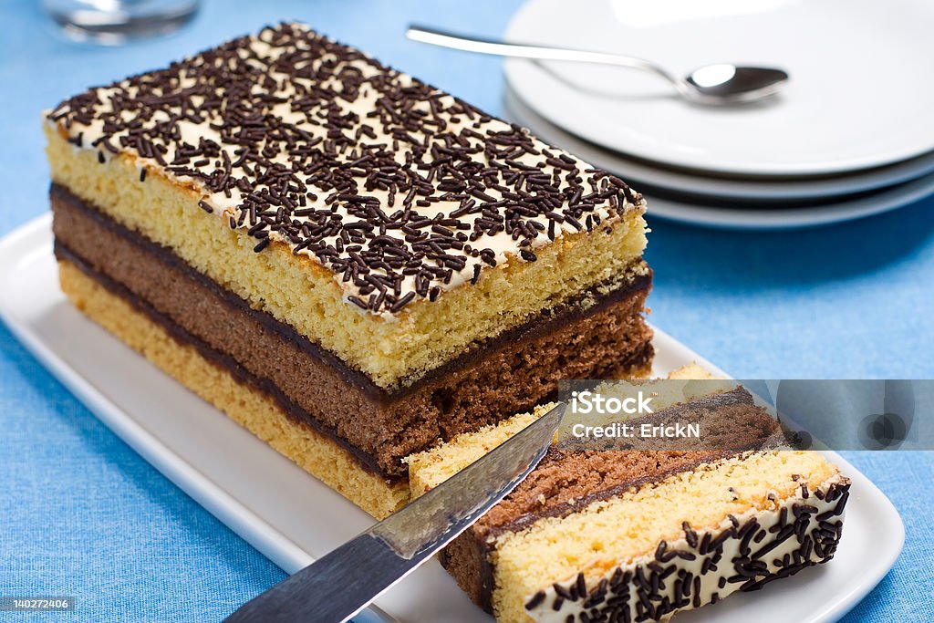 Italian sponge cake Italian sponge cake with chocolate filling on a white platter Cake Stock Photo