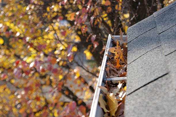 Fall Cleanup - Leaves in Gutter A fall tradition - cleaning the gutters of leaves. Here, we see them clogging the gutters of a traditional home. Could be used for advertising/clean up articles/etc. Narrow DOF sluice photos stock pictures, royalty-free photos & images