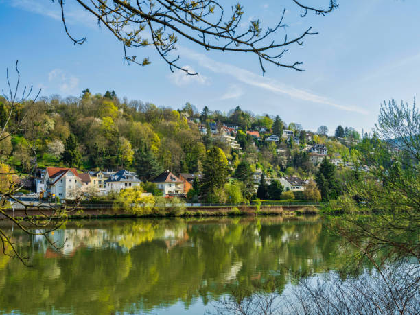 istock Heidelberg river side houses reflection on Neckar river, Germany 1402725966