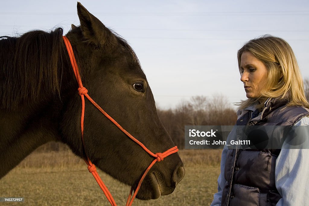 Woman and her Horse 3 A woman looking at her horse. Adult Stock Photo