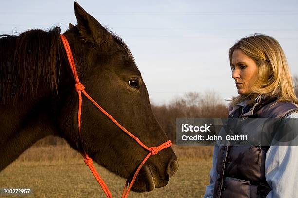 Woman And Her Horse 3 Stock Photo - Download Image Now - Adult, Agricultural Field, Animal Body Part