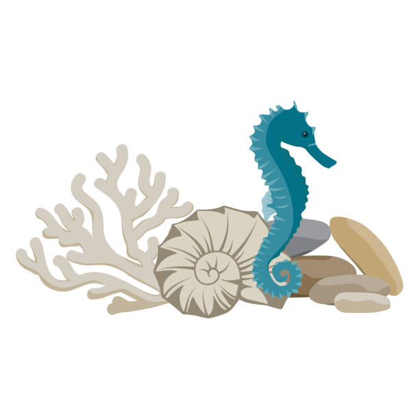 dno morskie - mammal hippocampus stock illustrations