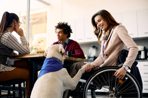 perro de asistencia dando pata a mujer de negocios que está usando una silla de ruedas. - service dog fotografías e imágenes de stock