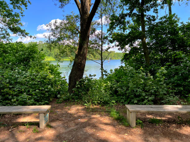 istock Two benches on a path next to a lake in summer. 1402731691
