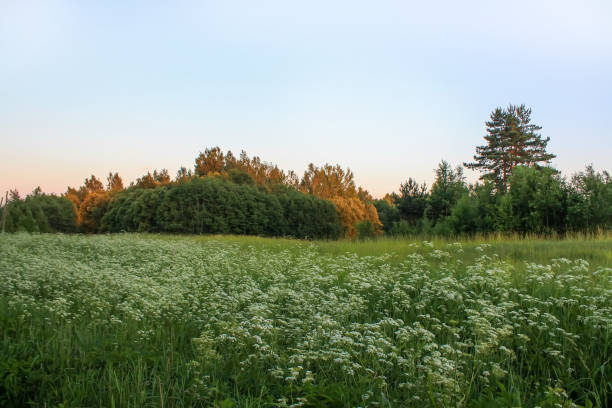 istock Sunset landscape in the countryside. 1402733746