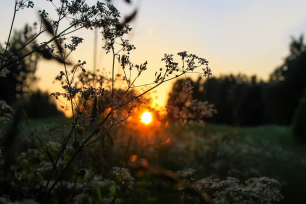 istock Sunset landscape in the countryside. 1402733777
