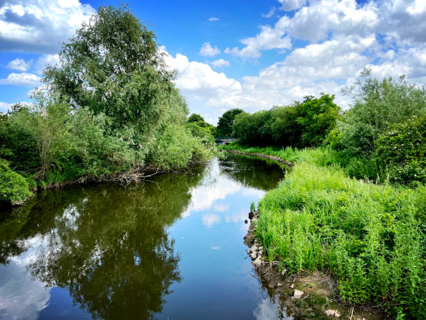 istock A beautiful river in summer with muddy water. 1402733979