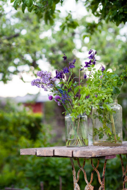 Outdoor garden still life with blue and purple flowers