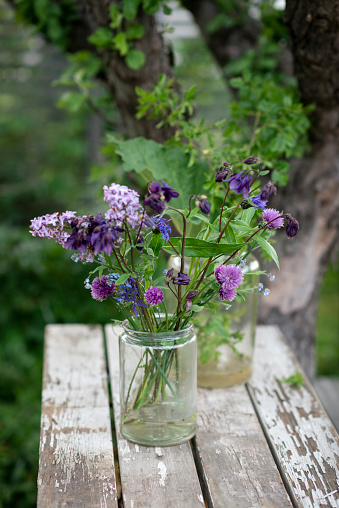 Outdoor garden still life with blue and purple flowers