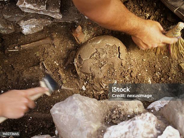 Foto de Escavação De Crânio e mais fotos de stock de Arqueologia - Arqueologia, Cavar, Crânio