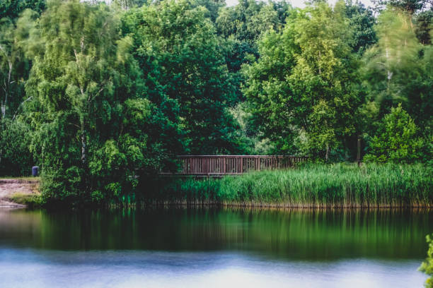 The lake called \