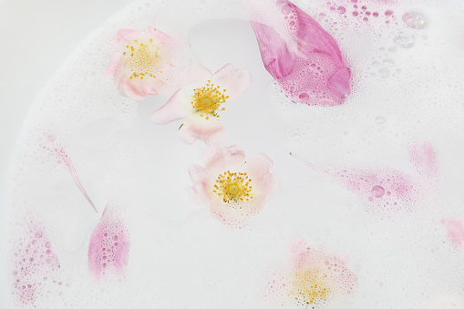 Pink dog rose flowers and peony petals floating and sinking in water. Fam bath, spa. Health, cosmetic and relaxation concept. Floral feminine web banner, flat lay, top, wellness background.