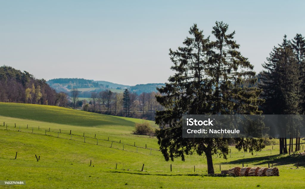 Hiking Travel in the Vulkaneifel Germany Natural landscape in the Eifel at the Nürburgring Agricultural Field Stock Photo
