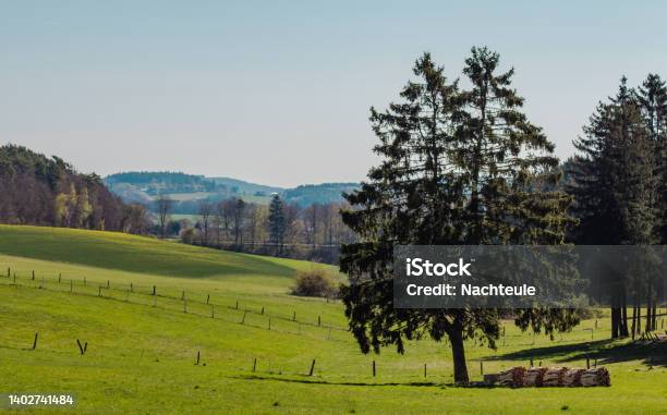 Hiking Travel In The Vulkaneifel Germany Stock Photo - Download Image Now - Agricultural Field, Agriculture, Beauty