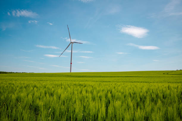 istock nature environment wind energy industry 1402741516