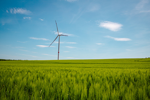 Wind turbines on the green wheat field against blue sky