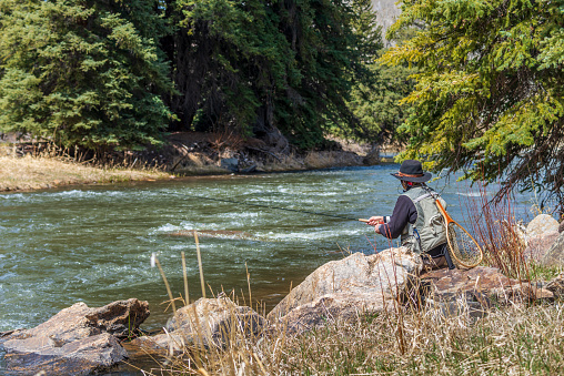 Mujer mayor pesca con mosca en el río Colorado photo