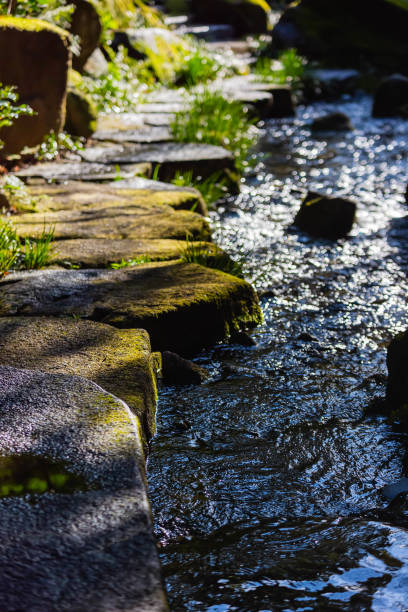 istock Japanese traditional garden with stream 1402746474