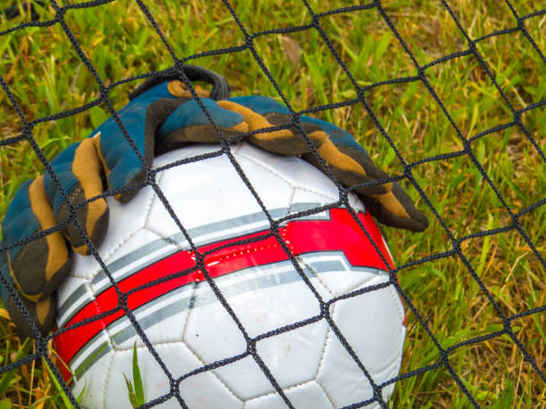 istock Soccer ball and goal keeper gloves inside the net 1402747459