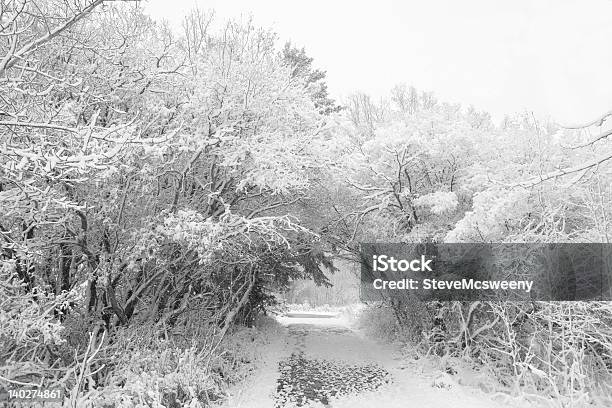 Foto de Winter Scene e mais fotos de stock de Arbusto - Arbusto, Arco - Característica arquitetônica, Branco