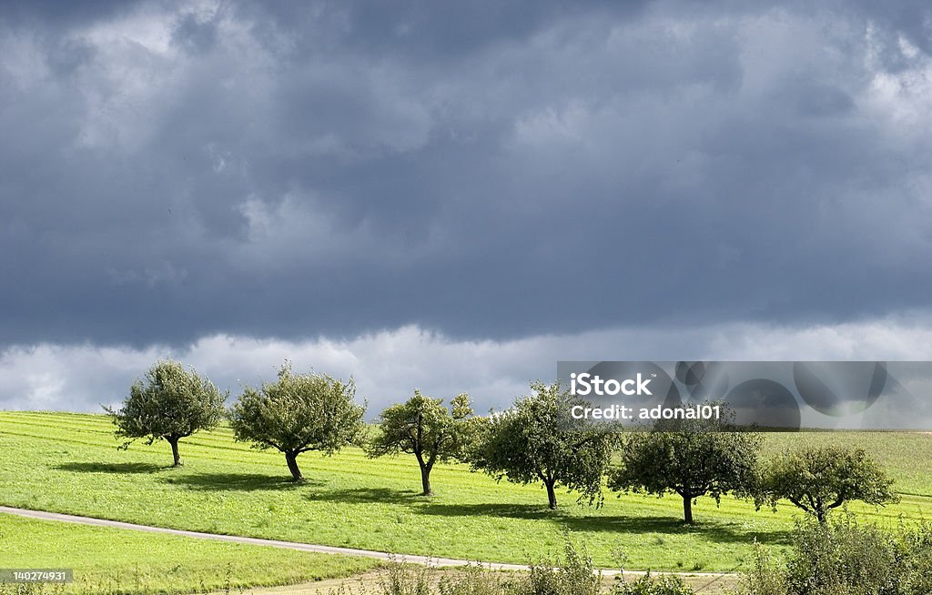 Línea de árboles en la oscuridad cloud. - Foto de stock de Acercarse libre de derechos