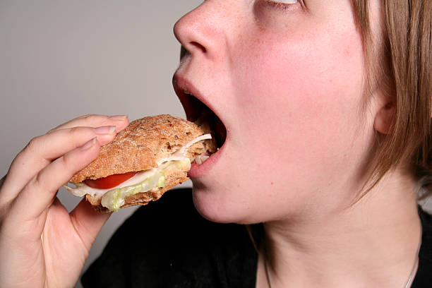 sandwich stock photo