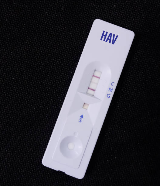 istock Rapid test cassette for HAV(hepatitis A virus) test, highly contagious liver infection. 1402751081