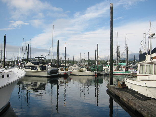 istock Marina, Homer Alaska 140275181
