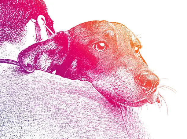 Vector illustration of Hugging Dachshund dog