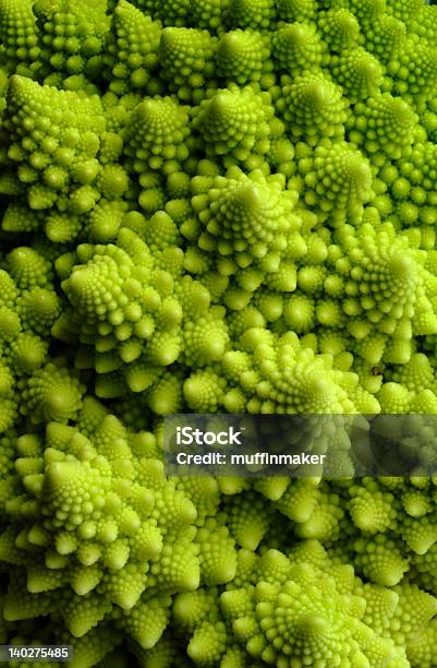 데테일 슛 Of 로마네스코 콜리플라워 0명에 대한 스톡 사진 및 기타 이미지 - 0명, 꽃 양배추, 녹색