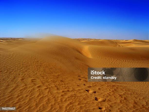 Perdido En El Desierto Foto de stock y más banco de imágenes de Desierto del Sáhara - Desierto del Sáhara, Tempestad de arena, Aire libre