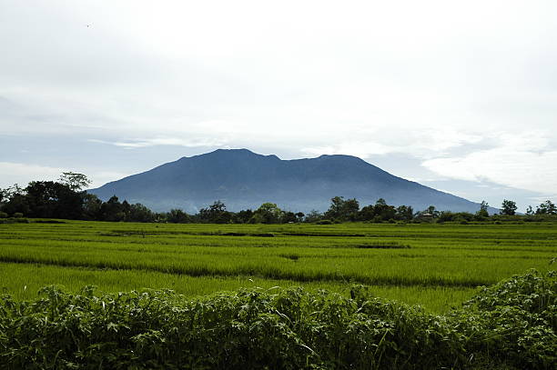 Mount Singgalang Sumatra stock photo