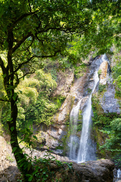 istock Tam Nang waterfall in Phang Nga 1402763450