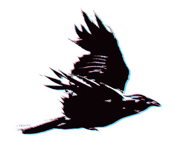 Vector illustration of Stereoscopic Crow in flight