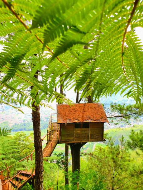 istock Wooden House 1402764182