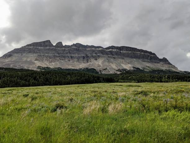 park narodowy lodowca - lake us glacier national park cloudscape cloud zdjęcia i obrazy z banku zdjęć