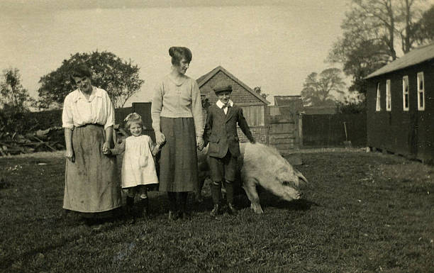 Old Vintage photo, Two Ladies and Children standing beside Pig Vintage 1900's style photo of two ladies and two children standing in garden beside a full grown pig. 19th century photos stock pictures, royalty-free photos & images