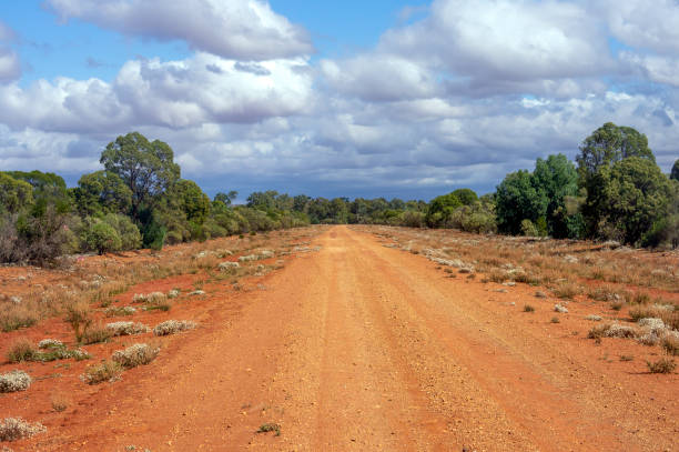 istock Australian outback scene with dirt road and clouds 1402772343