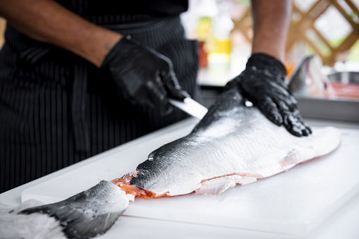 A professional chef wearing black gloves uses a sharp serrated knife with salmon fillets on a plastic cutting board.Japanese chef using a knife to slice salmon fillet for sashimi and sushi