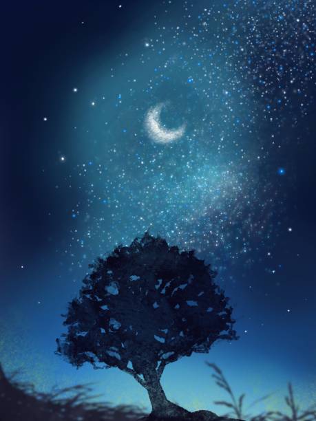 istock Mysterious color illustration of overgrown trees in a beautiful starry night sky 1402773270