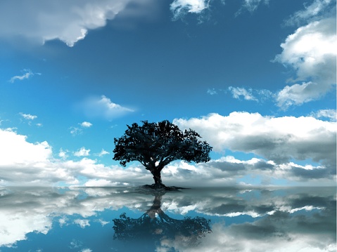 Illustration of a beautiful clear sky reflected on Lake Uyuni and a tree rising in the center